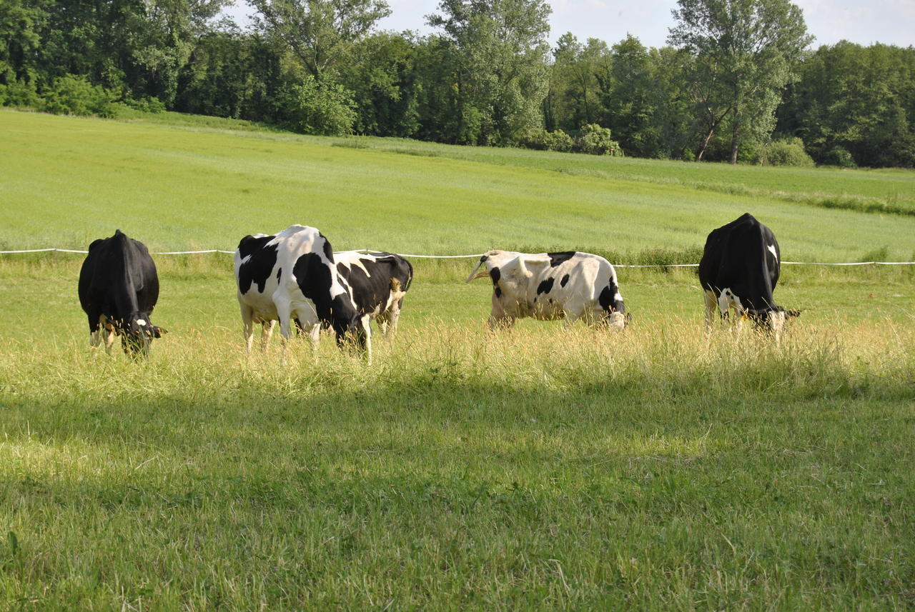 مبيت وإفطار Ozzero Agriturismo Cascina Selva المظهر الخارجي الصورة